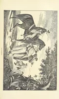 An illustration from Wild Life in the Far West; personal adventures of a Border Mountain Man, etc (1875)