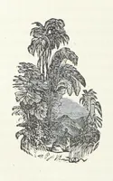 An illustration from Wild Life in the Far West; personal adventures of a Border Mountain Man, etc (1875)