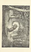 An illustration from Wild Life in the Far West; personal adventures of a Border Mountain Man, etc (1875)