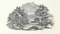 An illustration from Wild Life in the Far West; personal adventures of a Border Mountain Man, etc (1875)