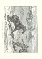 An illustration from Wild Life in the Far West; personal adventures of a Border Mountain Man, etc (1875)