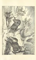 An illustration from Wild Life in the Far West; personal adventures of a Border Mountain Man, etc (1875)