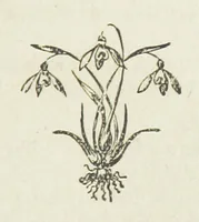 An illustration from Ishmael Pengelly, an outcast (1893)