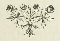 An illustration from Ishmael Pengelly, an outcast (1893)