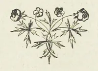An illustration from Ishmael Pengelly, an outcast (1893)