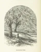 An illustration from Illustrated Library of favorite Song. Based upon folk songs. ... With an introduction, and edited by J. G. Holland ... Illustrated with ... engravings, ... after designs by Church, Johnson, etc (1873)