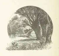 An illustration from Illustrated Library of favorite Song. Based upon folk songs. ... With an introduction, and edited by J. G. Holland ... Illustrated with ... engravings, ... after designs by Church, Johnson, etc (1873)