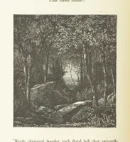 An illustration from Illustrated Library of favorite Song. Based upon folk songs. ... With an introduction, and edited by J. G. Holland ... Illustrated with ... engravings, ... after designs by Church, Johnson, etc (1873)