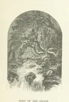 An illustration from Illustrated Library of favorite Song. Based upon folk songs. ... With an introduction, and edited by J. G. Holland ... Illustrated with ... engravings, ... after designs by Church, Johnson, etc (1873)