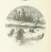 An illustration from Illustrated Library of favorite Song. Based upon folk songs. ... With an introduction, and edited by J. G. Holland ... Illustrated with ... engravings, ... after designs by Church, Johnson, etc (1873)