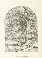 An illustration from Illustrated Library of favorite Song. Based upon folk songs. ... With an introduction, and edited by J. G. Holland ... Illustrated with ... engravings, ... after designs by Church, Johnson, etc (1873)