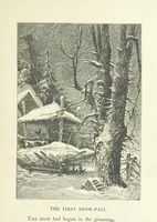 Picture 19 of 121 from Illustrated Library of favorite Song. Based upon folk songs. ... With an introduction, and edited by J. G. Holland ... Illustrated with ... engravings, ... after designs by Church, Johnson, etc (1873), leaf 99