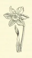An illustration from A Week in Arcadia. [A novel.] Illustrated by Caroline Paterson (1888)