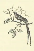 An illustration from A Week in Arcadia. [A novel.] Illustrated by Caroline Paterson (1888)