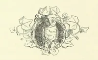 Picture 19 of 28 from A Week in Arcadia. [A novel.] Illustrated by Caroline Paterson (1888), leaf 238