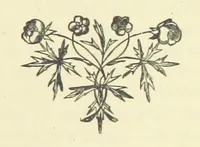An illustration from Gertrude Ellerslie ... New and revised edition (1884)