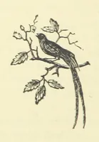 An illustration from Gertrude Ellerslie ... New and revised edition (1884)