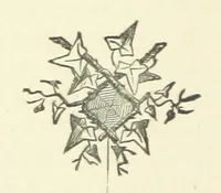 Picture 15 of 18 from Gertrude Ellerslie ... New and revised edition (1884), leaf 290