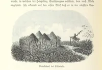 An illustration from Von der Capstadt ins Land der Maschukulumbe. Reisen im südlichen Afrika in den Jahren 1883-1887 ... Mit 205 Original-Holzschnitten, etc (1890)