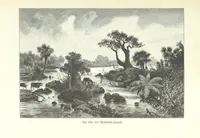 An illustration from Von der Capstadt ins Land der Maschukulumbe. Reisen im südlichen Afrika in den Jahren 1883-1887 ... Mit 205 Original-Holzschnitten, etc (1890)