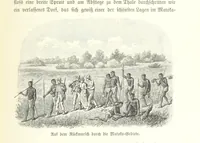 An illustration from Von der Capstadt ins Land der Maschukulumbe. Reisen im südlichen Afrika in den Jahren 1883-1887 ... Mit 205 Original-Holzschnitten, etc (1890)