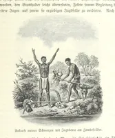 An illustration from Von der Capstadt ins Land der Maschukulumbe. Reisen im südlichen Afrika in den Jahren 1883-1887 ... Mit 205 Original-Holzschnitten, etc (1890)