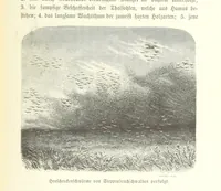 An illustration from Von der Capstadt ins Land der Maschukulumbe. Reisen im südlichen Afrika in den Jahren 1883-1887 ... Mit 205 Original-Holzschnitten, etc (1890)