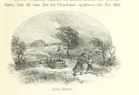 An illustration from Von der Capstadt ins Land der Maschukulumbe. Reisen im südlichen Afrika in den Jahren 1883-1887 ... Mit 205 Original-Holzschnitten, etc (1890)