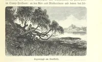 An illustration from Von der Capstadt ins Land der Maschukulumbe. Reisen im südlichen Afrika in den Jahren 1883-1887 ... Mit 205 Original-Holzschnitten, etc (1890)