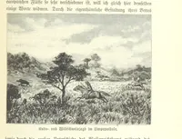 An illustration from Von der Capstadt ins Land der Maschukulumbe. Reisen im südlichen Afrika in den Jahren 1883-1887 ... Mit 205 Original-Holzschnitten, etc (1890)