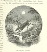 An illustration from Von der Capstadt ins Land der Maschukulumbe. Reisen im südlichen Afrika in den Jahren 1883-1887 ... Mit 205 Original-Holzschnitten, etc (1890)