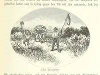 An illustration from Von der Capstadt ins Land der Maschukulumbe. Reisen im südlichen Afrika in den Jahren 1883-1887 ... Mit 205 Original-Holzschnitten, etc (1890)