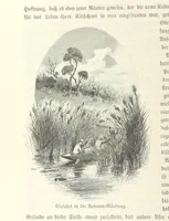 An illustration from Von der Capstadt ins Land der Maschukulumbe. Reisen im südlichen Afrika in den Jahren 1883-1887 ... Mit 205 Original-Holzschnitten, etc (1890)