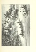 An illustration from Von der Capstadt ins Land der Maschukulumbe. Reisen im südlichen Afrika in den Jahren 1883-1887 ... Mit 205 Original-Holzschnitten, etc (1890)