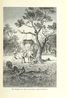 An illustration from Von der Capstadt ins Land der Maschukulumbe. Reisen im südlichen Afrika in den Jahren 1883-1887 ... Mit 205 Original-Holzschnitten, etc (1890)