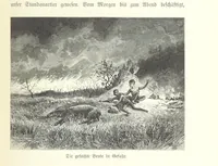 An illustration from Von der Capstadt ins Land der Maschukulumbe. Reisen im südlichen Afrika in den Jahren 1883-1887 ... Mit 205 Original-Holzschnitten, etc (1890)