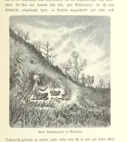 An illustration from Von der Capstadt ins Land der Maschukulumbe. Reisen im südlichen Afrika in den Jahren 1883-1887 ... Mit 205 Original-Holzschnitten, etc (1890)