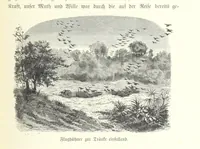 An illustration from Von der Capstadt ins Land der Maschukulumbe. Reisen im südlichen Afrika in den Jahren 1883-1887 ... Mit 205 Original-Holzschnitten, etc (1890)