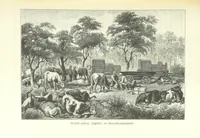 An illustration from Von der Capstadt ins Land der Maschukulumbe. Reisen im südlichen Afrika in den Jahren 1883-1887 ... Mit 205 Original-Holzschnitten, etc (1890)