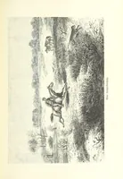 An illustration from Von der Capstadt ins Land der Maschukulumbe. Reisen im südlichen Afrika in den Jahren 1883-1887 ... Mit 205 Original-Holzschnitten, etc (1890)