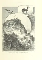 An illustration from Von der Capstadt ins Land der Maschukulumbe. Reisen im südlichen Afrika in den Jahren 1883-1887 ... Mit 205 Original-Holzschnitten, etc (1890)