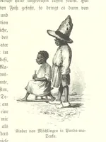 An illustration from Von der Capstadt ins Land der Maschukulumbe. Reisen im südlichen Afrika in den Jahren 1883-1887 ... Mit 205 Original-Holzschnitten, etc (1890)