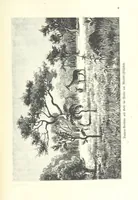 An illustration from Von der Capstadt ins Land der Maschukulumbe. Reisen im südlichen Afrika in den Jahren 1883-1887 ... Mit 205 Original-Holzschnitten, etc (1890)