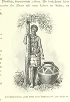 An illustration from Von der Capstadt ins Land der Maschukulumbe. Reisen im südlichen Afrika in den Jahren 1883-1887 ... Mit 205 Original-Holzschnitten, etc (1890)