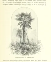 An illustration from Von der Capstadt ins Land der Maschukulumbe. Reisen im südlichen Afrika in den Jahren 1883-1887 ... Mit 205 Original-Holzschnitten, etc (1890)