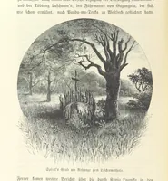 An illustration from Von der Capstadt ins Land der Maschukulumbe. Reisen im südlichen Afrika in den Jahren 1883-1887 ... Mit 205 Original-Holzschnitten, etc (1890)