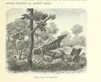 An illustration from Von der Capstadt ins Land der Maschukulumbe. Reisen im südlichen Afrika in den Jahren 1883-1887 ... Mit 205 Original-Holzschnitten, etc (1890)