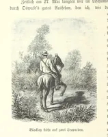 An illustration from Von der Capstadt ins Land der Maschukulumbe. Reisen im südlichen Afrika in den Jahren 1883-1887 ... Mit 205 Original-Holzschnitten, etc (1890)