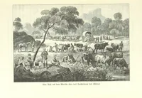 An illustration from Von der Capstadt ins Land der Maschukulumbe. Reisen im südlichen Afrika in den Jahren 1883-1887 ... Mit 205 Original-Holzschnitten, etc (1890)