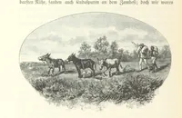 An illustration from Von der Capstadt ins Land der Maschukulumbe. Reisen im südlichen Afrika in den Jahren 1883-1887 ... Mit 205 Original-Holzschnitten, etc (1890)